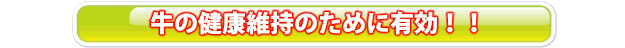 牛の健康維持のために有効!!