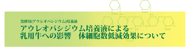 アウレオバシジウム培養液による乳用牛への影響 体細胞数低減効果について