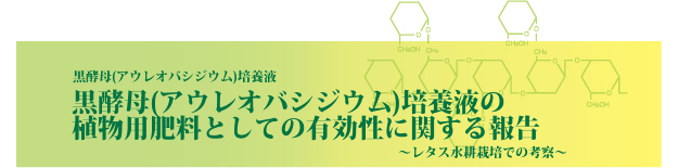 黒酵母（アウレオバシジウム）培養液の植物用肥料としての有効性に関する報告