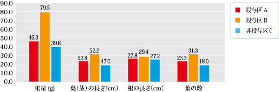 レタス収穫後測定結果−２